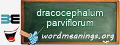 WordMeaning blackboard for dracocephalum parviflorum